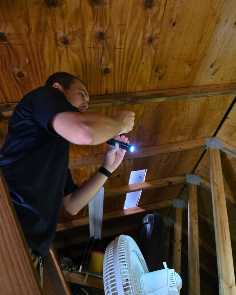 Home inspector evaluating an attic in southwest Florida. 